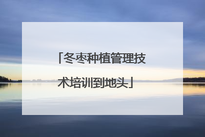 冬枣种植管理技术培训到地头