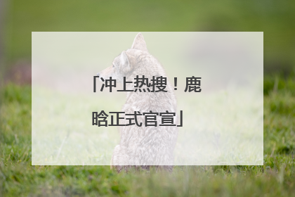 冲上热搜！鹿晗正式官宣