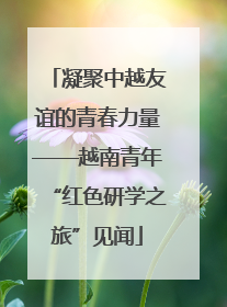凝聚中越友谊的青春力量——越南青年“红色研学之旅”见闻
