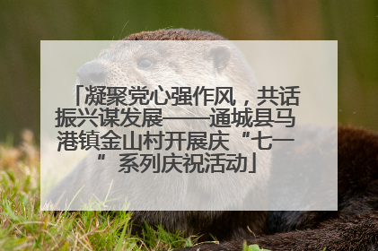 凝聚党心强作风，共话振兴谋发展——通城县马港镇金山村开展庆“七一”系列庆祝活动