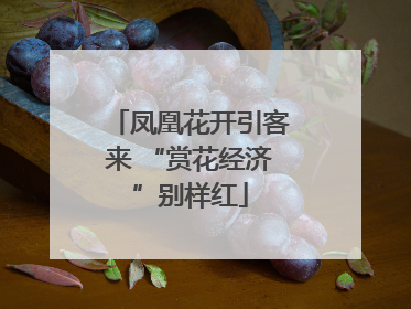 凤凰花开引客来 “赏花经济”别样红