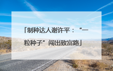 制种达人谢许平：“一粒种子”闯出致富路