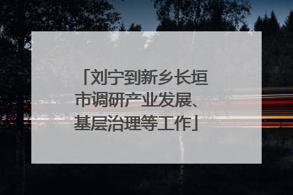 刘宁到新乡长垣市调研产业发展、基层治理等工作