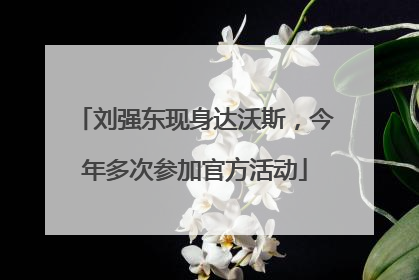 刘强东现身达沃斯，今年多次参加官方活动