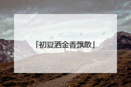 初夏洒金香飘散