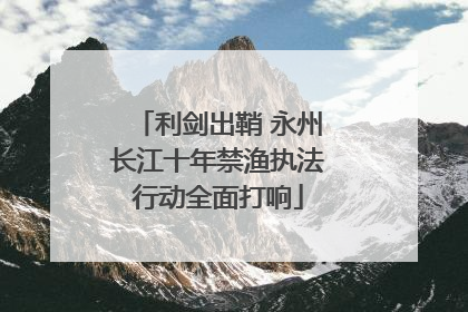 利剑出鞘 永州长江十年禁渔执法行动全面打响