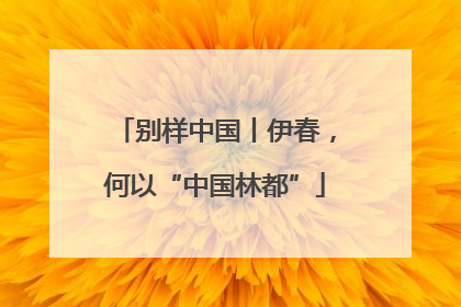 别样中国丨伊春，何以“中国林都”