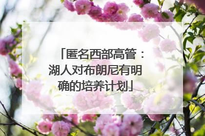 匿名西部高管：湖人对布朗尼有明确的培养计划
