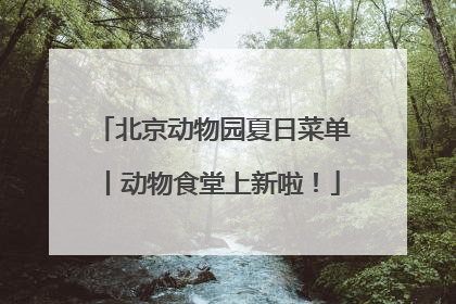 北京动物园夏日菜单丨动物食堂上新啦！