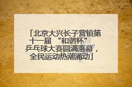 北京大兴长子营镇第十一届 “和谐杯” 乒乓球大赛圆满落幕，全民运动热潮涌动