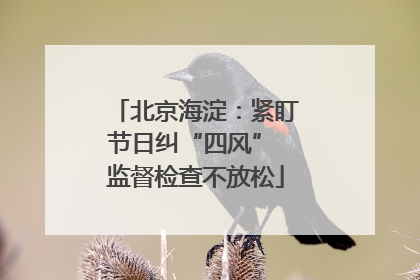 北京海淀：紧盯节日纠“四风” 监督检查不放松