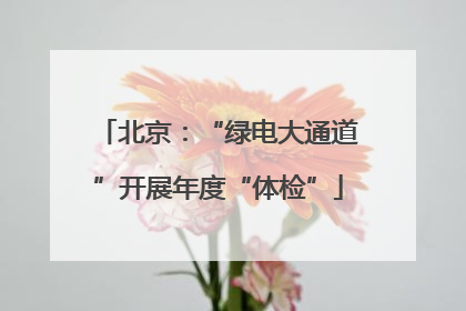 北京：“绿电大通道”开展年度“体检”