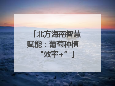 北方海南智慧赋能：葡萄种植“效率+”