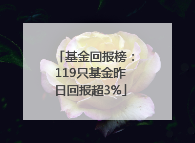 基金回报榜：119只基金昨日回报超3%