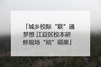 城乡校际“联”通梦想 江夏区校本研修现场“结”硕果