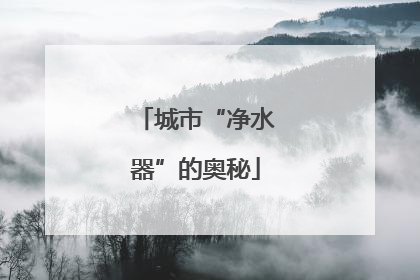 城市“净水器”的奥秘