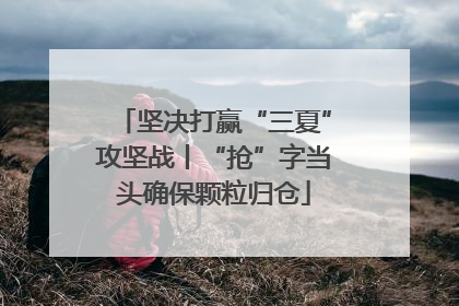 坚决打赢“三夏”攻坚战丨“抢”字当头确保颗粒归仓