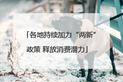 各地持续加力“两新”政策 释放消费潜力