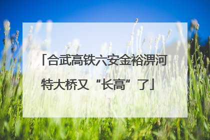 合武高铁六安金裕淠河特大桥又“长高”了