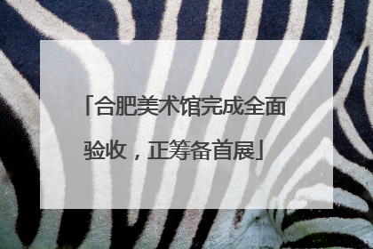 合肥美术馆完成全面验收，正筹备首展