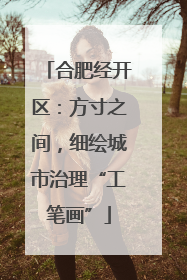 合肥经开区：方寸之间，细绘城市治理“工笔画”