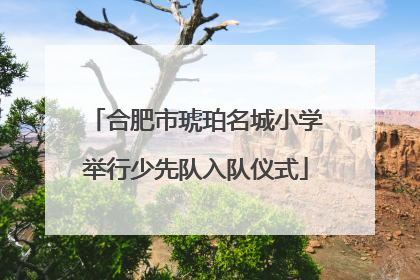 合肥市琥珀名城小学举行少先队入队仪式