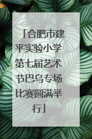 合肥市建平实验小学第七届艺术节巴乌专场比赛圆满举行