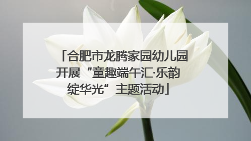 合肥市龙腾家园幼儿园开展“童趣端午汇·乐韵绽华光”主题活动