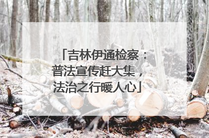 吉林伊通检察：普法宣传赶大集，法治之行暖人心