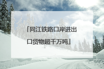 同江铁路口岸进出口货物超千万吨