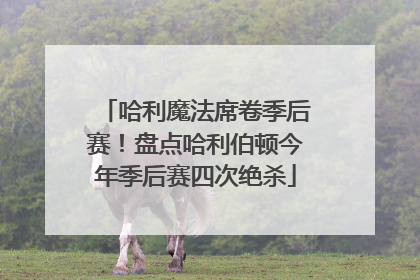 哈利魔法席卷季后赛！盘点哈利伯顿今年季后赛四次绝杀