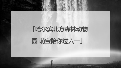 哈尔滨北方森林动物园 萌宝陪你过六一