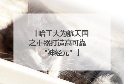 哈工大为航天国之重器打造高可靠“神经元”