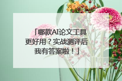 哪款AI论文工具更好用？实战测评后我有答案啦！