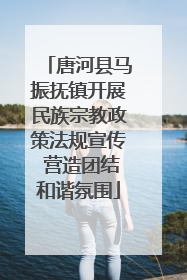 唐河县马振抚镇开展民族宗教政策法规宣传 营造团结和谐氛围