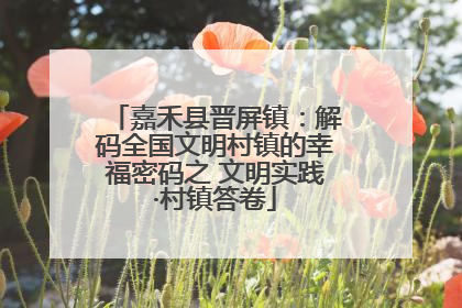 嘉禾县晋屏镇：解码全国文明村镇的幸福密码之 文明实践·村镇答卷