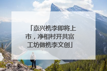 嘉兴槜李即将上市，净相村开共富工坊做槜李文创