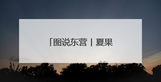 图说东营丨夏果盈香，是盐碱地写给舌尖的情书