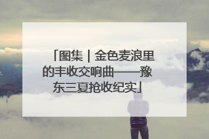 图集｜金色麦浪里的丰收交响曲——豫东三夏抢收纪实