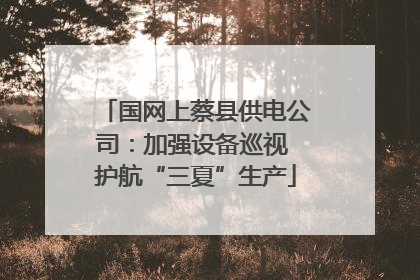 国网上蔡县供电公司：加强设备巡视 护航“三夏”生产