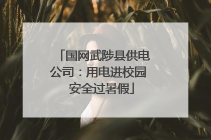 国网武陟县供电公司：用电进校园  安全过暑假