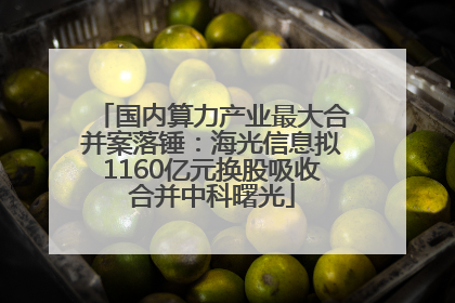 国内算力产业最大合并案落锤：海光信息拟1160亿元换股吸收合并中科曙光