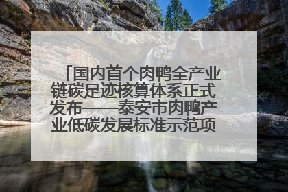 国内首个肉鸭全产业链碳足迹核算体系正式发布——泰安市肉鸭产业低碳发展标准示范项目顺利通过验收