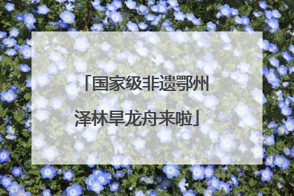 国家级非遗鄂州泽林旱龙舟来啦