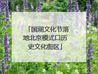 国潮文化节落地北京模式口历史文化街区