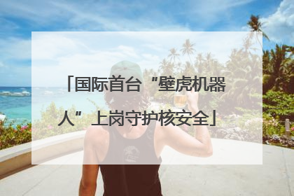 国际首台“壁虎机器人”上岗守护核安全