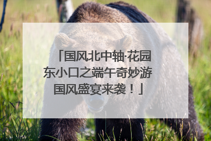 国风北中轴·花园东小口之端午奇妙游国风盛宴来袭！