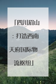 四川眉山：打造西南天府国际物流枢纽