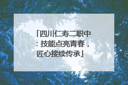 四川仁寿二职中：技能点亮青春，匠心接续传承
