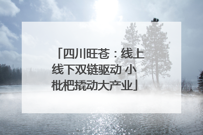 四川旺苍：线上线下双链驱动 小枇杷撬动大产业